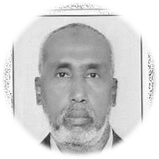 Prof Abdisalam M Issa-Salwe